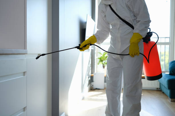 Best Commercial Mold Removal  in Reynolds Heights, PA